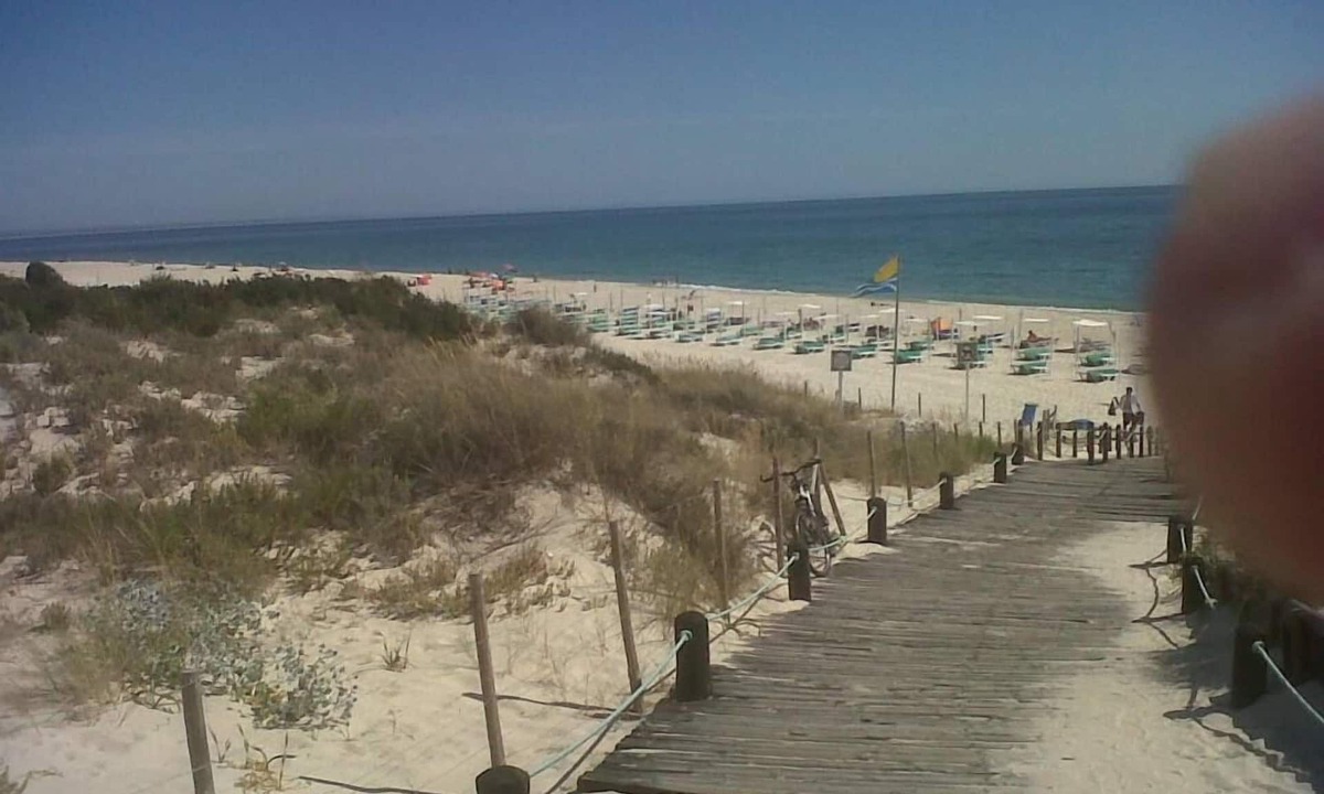 Carvalhal Resort | In the Natural Reserve the Golf&Beach House-Garden - 5m walking to beach-gol