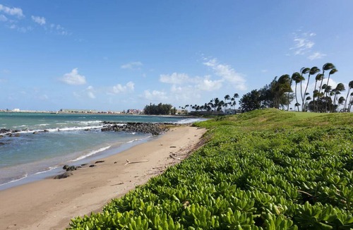 Kahului Hotel | Affordable Oceanfront Stay! Outdoor Pool, Pets are Allowed
