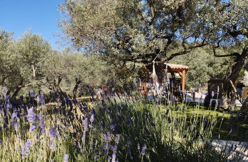 Callas Villa | beautiful house in olive grove, infinty pool and hot tub, panoramic view 8 pax