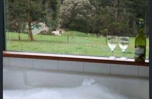 North Walpole Hotel | Cabins nestled in 170 acres of old growth forest near the Valley of the Giants.
