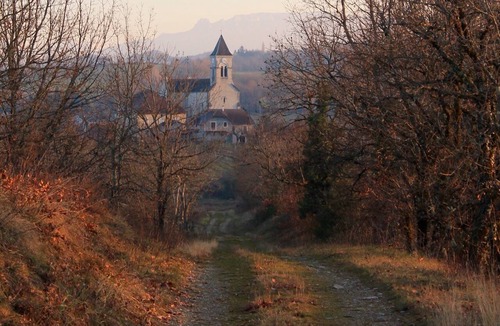 Saint-Martin-de-Bavel Cottage | Charming stone cottage with sauna, pool, near the Grand Colombier and lakes