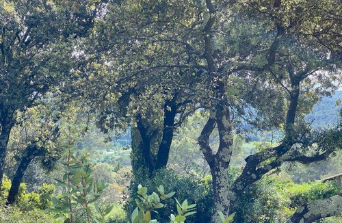 Entrecasteaux House | Gîte les Aleps Provence verte Enchanted refuge in the heart of the forest