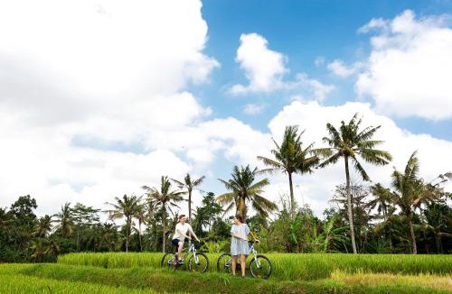 Melayang Resort | Hoshinoya Bali