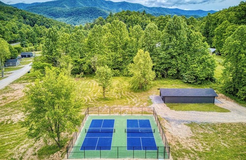 Cosby Cottage | Natures Getaway -Pickleball Court, Creek, WIFI, budget friendly