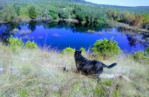 Oatmeal Cabin | Off grid Glamping cabin. 45 min from north Austin 5 min to Lake Travis