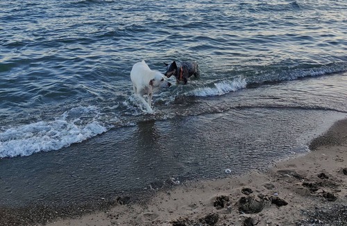 Kingsville House | Private beach on Lake Erie, beach games & toys.
