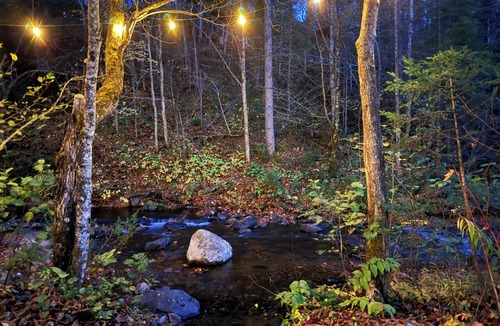 Sainte Rose du Nord Cabin | River/Wooden hottub Luxurious Shack in the forest