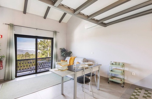 Vale de Cambra Apartment | Studio 'Olive Studio 3 - Arões' with Saltwater Pool, Jacuzzi and Electric Car Charger