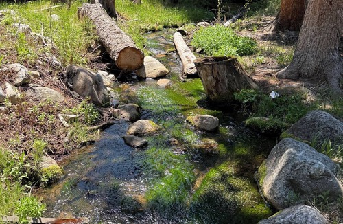 Meadow Lark Lake Hotel | Ten Sleep Timberline Chalet: Cozy Forest Hideaway with WiFi, Views & Solitude