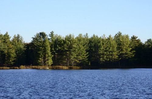 Bala Cottage | The Hideaway - Waterfront Cottage - Very Private - Muskoka