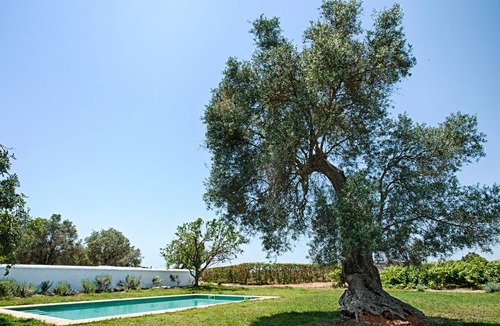 Estombar Other | The Main House | Morgado do Quintão Vineyard Estate in the heart of the Algarve