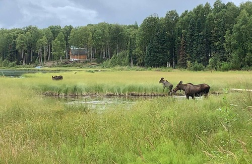 Susitna North House | The Rusty Salmon Lake House with Deck, Dock, Canoe and Kayaks