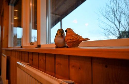 Veidilundur Ski Chalet | Thingvellir Cabin/Chalet