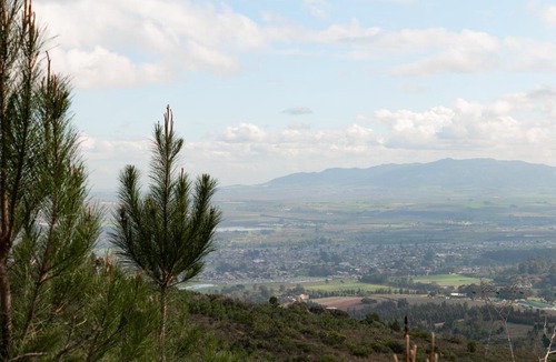 Paarl Villa | untether on Olive View