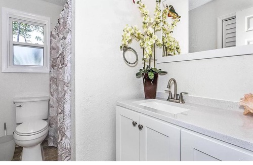 Myrtle Grove House | Very Private Home w/HEATED Pool, Palm Trees and Big Fenced Yard.