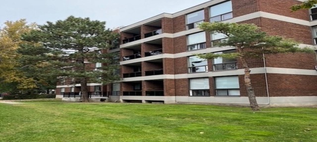 1 Bedroom apartment in residential area in Montreal. 5min walk to shopping mall. in Côte Saint-Luc