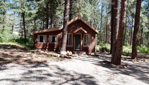 151 CR 200 Studio Cabin in Durango