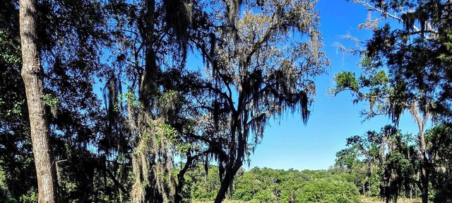 2 Bedroom 2 Bath Quarry Lake Getaway in Hernando