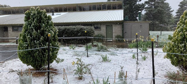 Alpine Activity centre Lodge in Jindbyne sleeps up 90 people in shared facitlies in Jindabyne