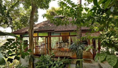 Ambong Rainforest Retreat in Pantai Cenang