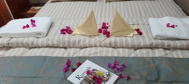 An enchanting Resort Like Homestay in Sg Pelek Sepang