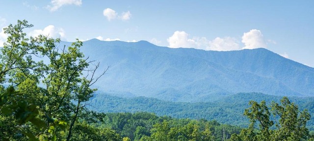 Another Day in Bearadise home in Gatlinburg