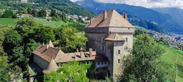 Appt 2 Bedroom - Château du Châtelard in Clarens
