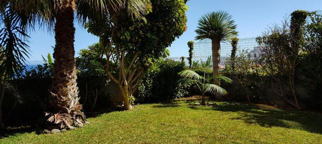 Atlantic Palm Garden Residence in Santa Cruz