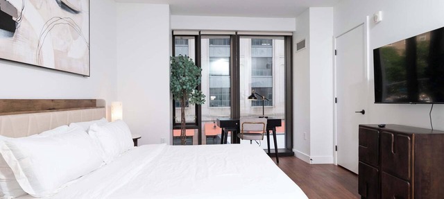 Back-Bay Upscale Central Condo Rooftop & Parking in Boston