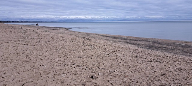 Beautiful 4 season Cottage in Rondeau. 2 minutes to Beach or Provincial Park. in Morpeth