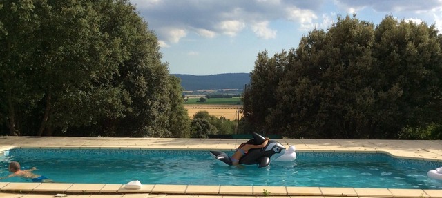 Beautiful Provençal house with great swimming-pool in Ginasservis