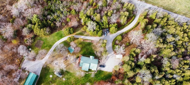 Beautiful villa with 10 acres to explore in Roseneath