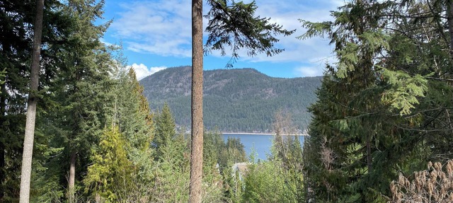 Blind Bay Chalet with lake views, privacy, sauna, hikes, golf, 5 mins to beach in Blind Bay