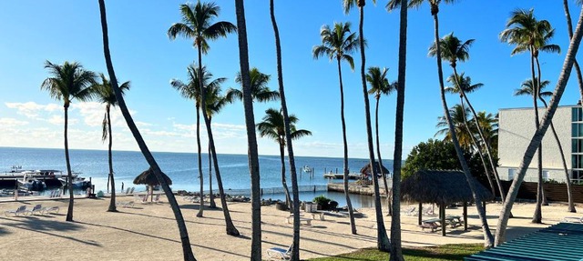 Breezy Palms Resort in Islamorada