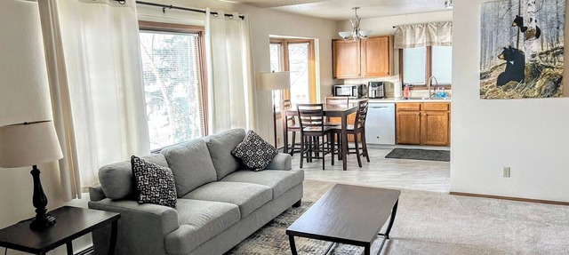 Bright & Spacious Downtown 2 Bedroom Apt w/King bed! in Anchorage