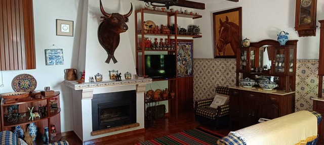 Casa da Ferradura Golegã in Golegã