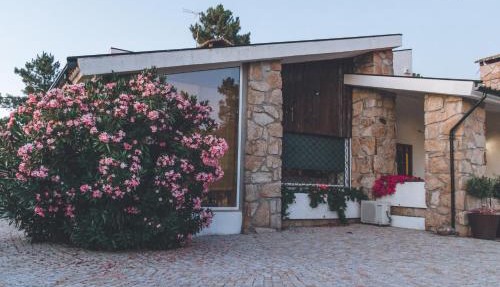 Casa da Ni - Douro in Arcos
