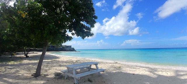 Charming Cottage in Rockley, Barbados only 5 mins Walk to Gorgeous Accra Beach! in Rockley