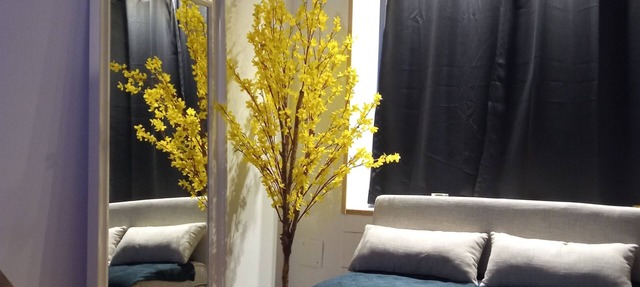 Charming studio in the heart of a shopping street, 2 steps from NAVAL GROUP in Cherbourg-en-Cotentin