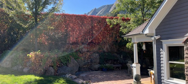 Chautauqua Gem! Trails, Views, Close to Pearl Street and CU in Boulder