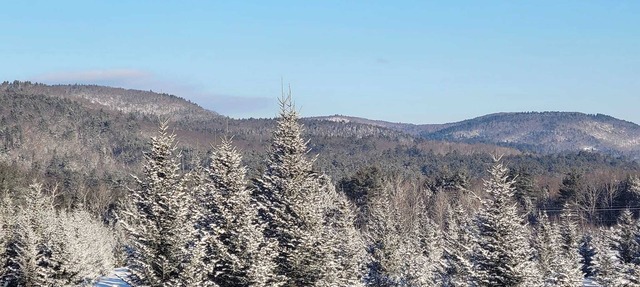 Christmas Tree Farmhouse stay with great view and 16 acres of walking trails in Newport