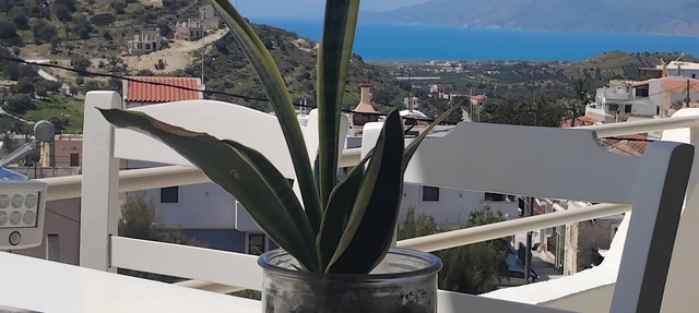 CHRYSO APARTMENT in Kamilari