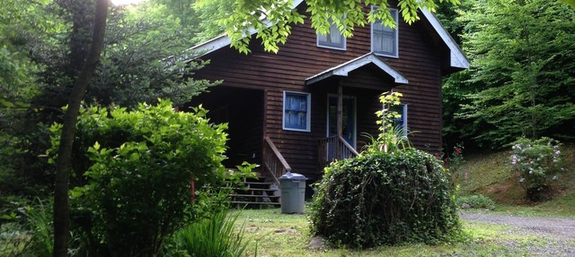 Classic mountain cabin with beautiful stone fireplace in a rural setting in Plumtree