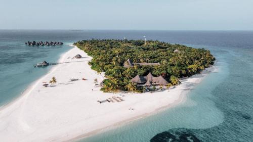 Coco Palm Dhuni Kolhu in Thulhaadhoo