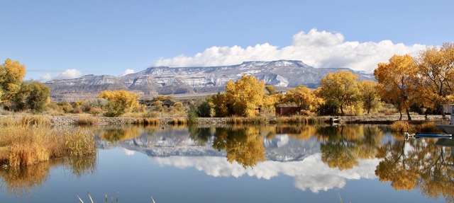 Colorado river guest house in Clifton