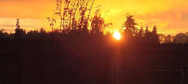 Cozy Cottage Retreat – Private Yard, Sunset Views & Peninsula Access in Sequim