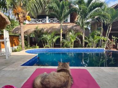 Dream Makers Retreat in Gili Islands