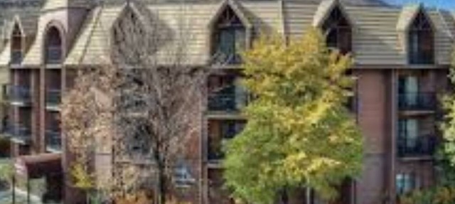 Durango, CO 1Bed/1Bath Deluxe! in Durango
