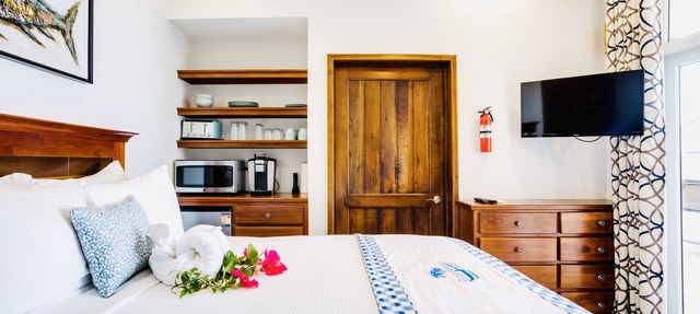 Economy Studio beachfront with swim up pool bar in Placencia