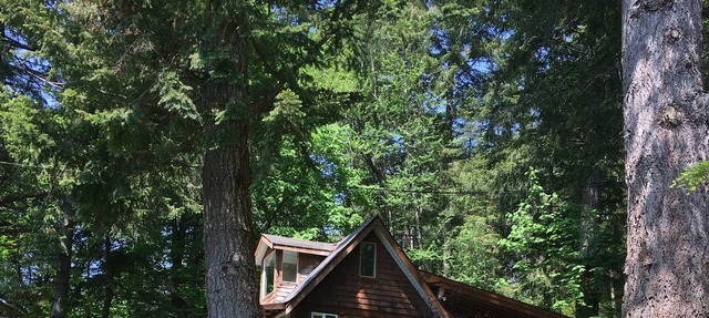 Fir and Cone Cottage: a cozy cottage in a park-like setting with water access in Heriot Bay